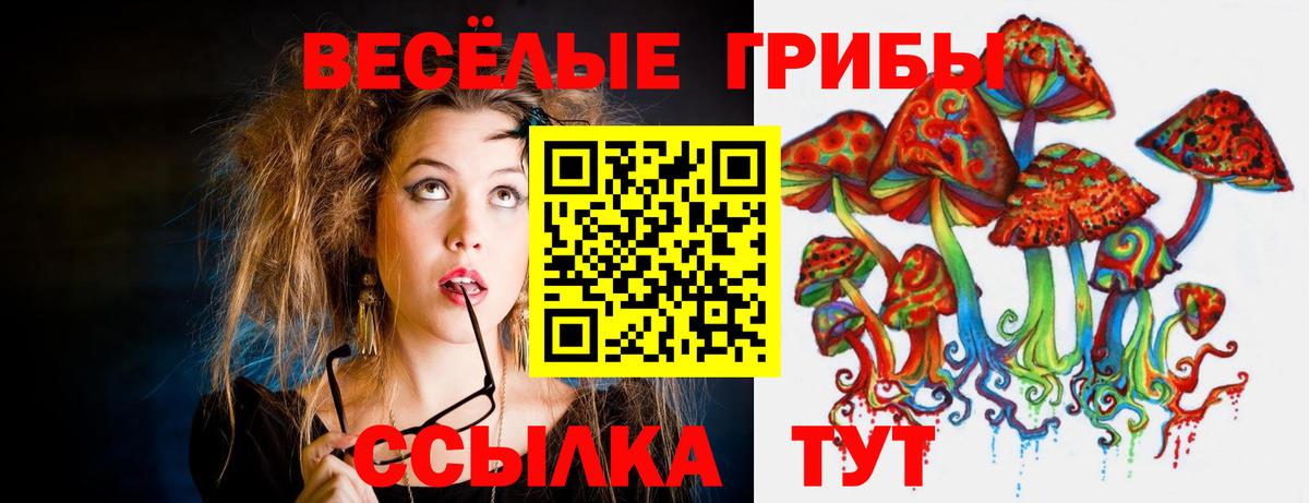 Галлюциногенные грибы MAGIC MUSHROOMS  Вход с VPN  Миасс 